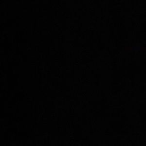 Meet your Posher, Paige